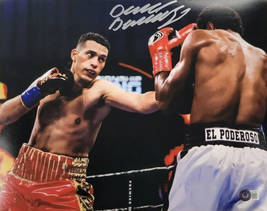 David Benavidez autographed signed boxing 11x14 Photo Beckett