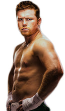Floyd Mayweather Jr. vs Canelo Signed 16x20 Photo (Beckett COA)