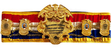 Floyd Mayweather Jr. Beautiful Ring Magazine Championship Boxing Belt