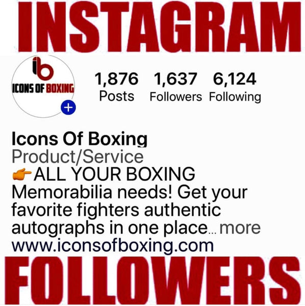 5 Star experience with my purchase from icons of boxing online website.