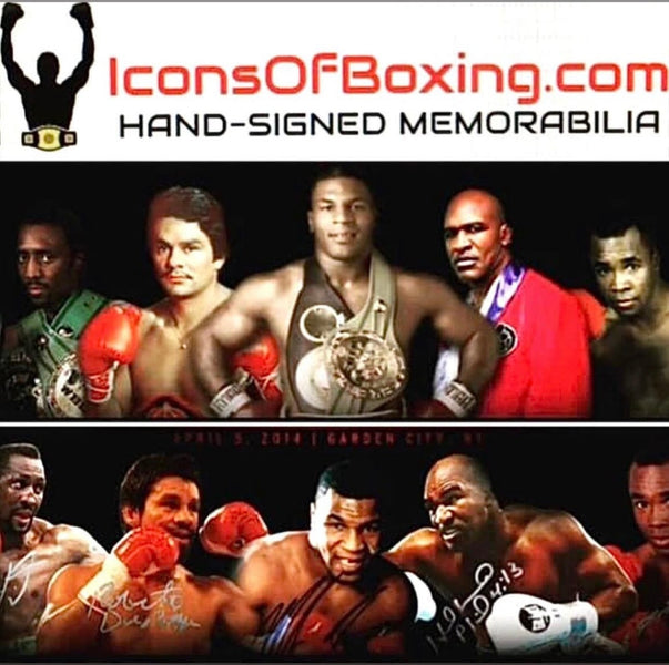 Icons of boxing SEO Review