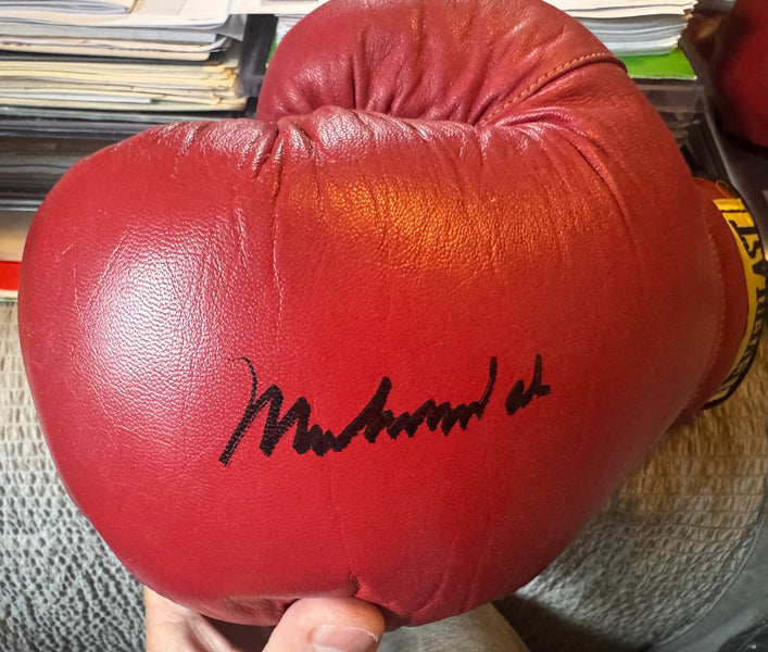 A+++ Experience buying my first glove at icons of Boxing.