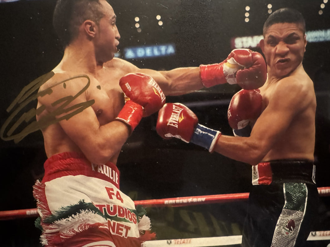 Paulie Malignaggi signed autographed 8x10 Rare boxing photo COA