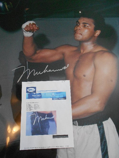 Muhammad Ali Signed Color 30 X 40 Size Speed Bag Photo Online Authentics