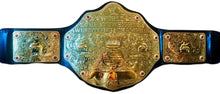 The World Heavyweight Championship wrestling belt