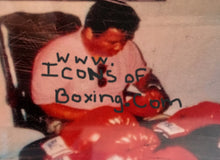 Muhammad Ali Steiner Sports Certified Autographed Everlast Red Boxing Glove Bold Signature.