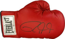 Roy Jones Jr. Everlast signed Autographed Red Boxing Glove Certified Photo proof.