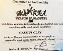 Cassius Clay Autographed Everlast Boxing Glove with A Bold signature and S.O.P certified