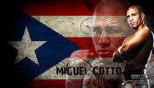 Miguel Cotto autographed Framed Silver signature 11x17 Photo size