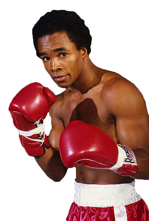 Sugar ray boxing gloves best sale