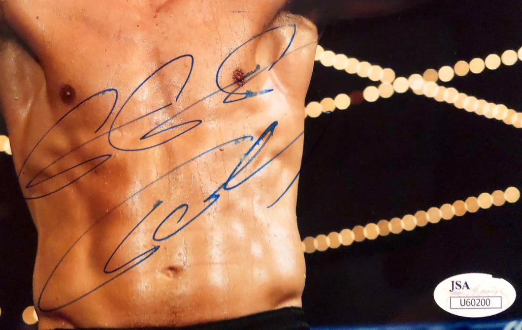 Gennady Golovkin Triple GGG Autographed 8x10 photo JSA