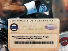 Miguel Cotto Autographed 8 x 10 Steiner certified boxing photo