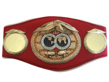 Floyd Mayweather Jr. Autographed IBF Full size Championship Boxing Belt Silver Signature