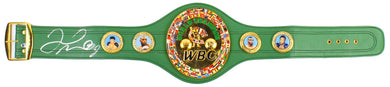 Floyd Mayweather Jr. Signed WBC Diamond Championship Belt (JSA FULL LETTER)