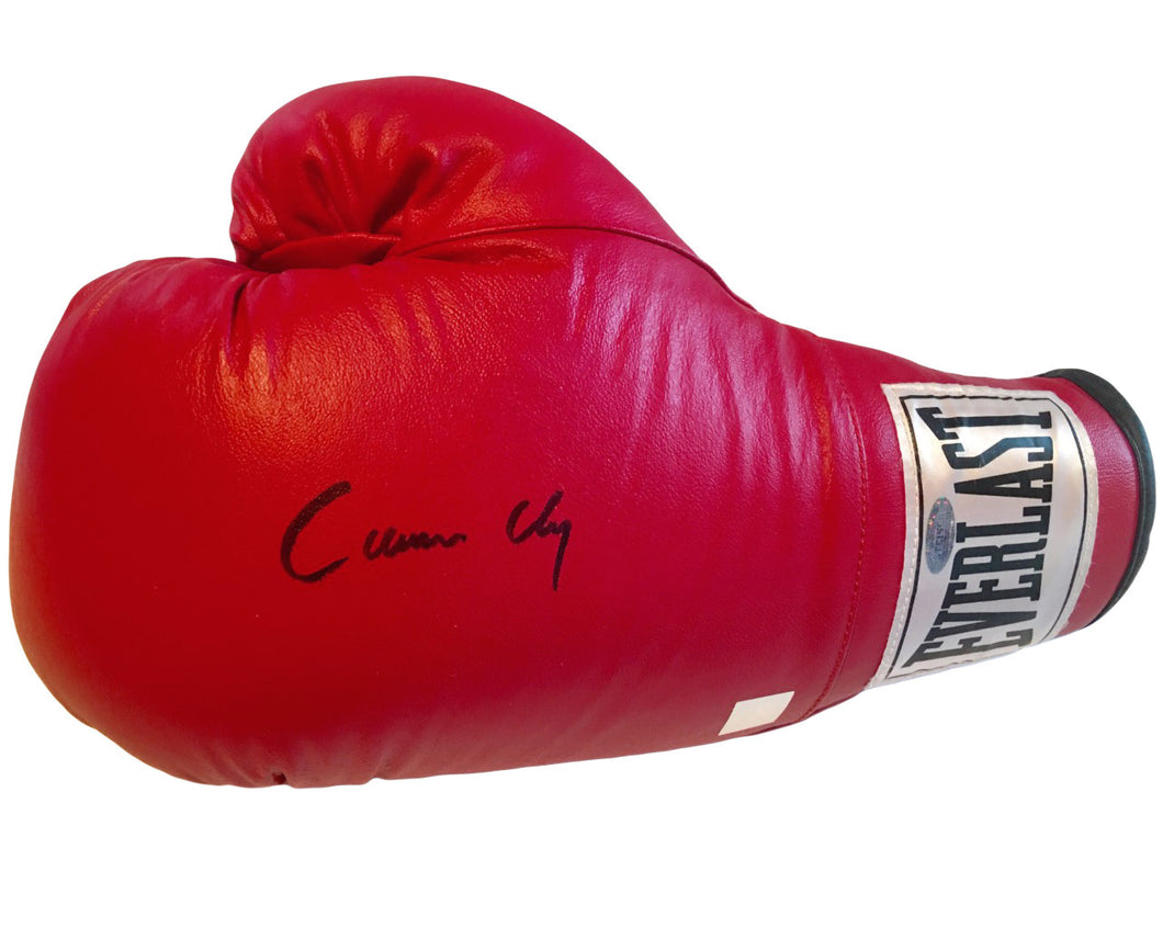 Cassius Clay Autographed Everlast Boxing Glove with Steiner sports and SSG Dual certification